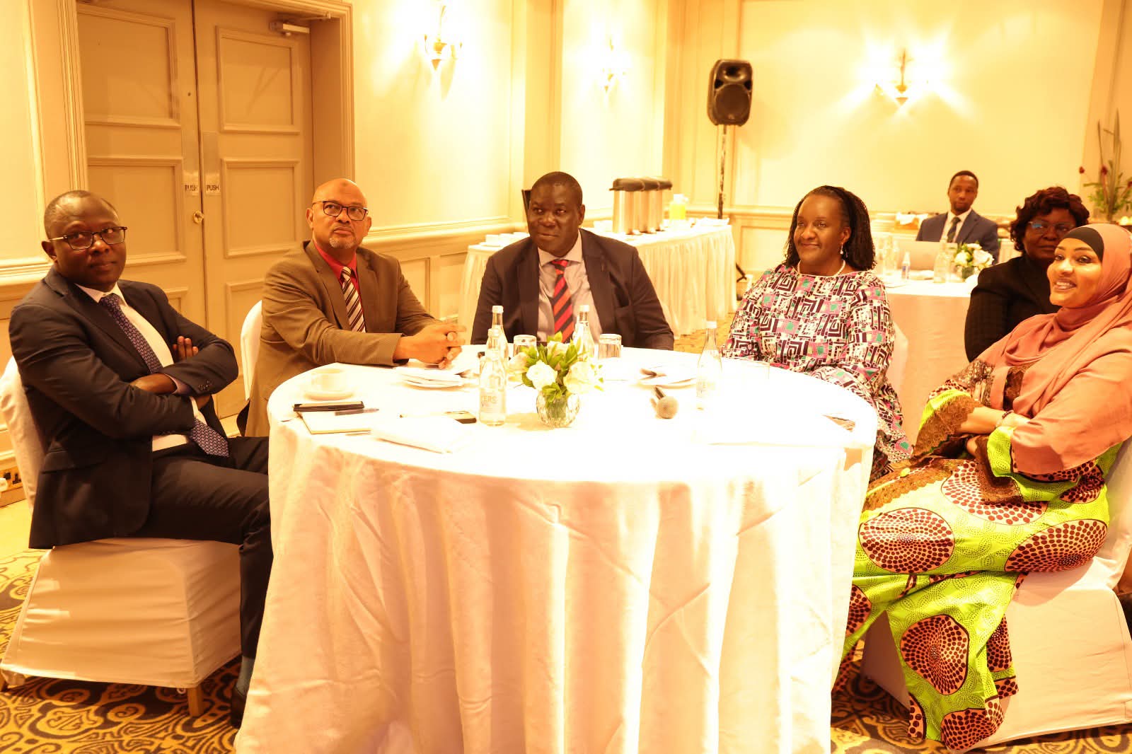 Safeguarding the Constitution, Strengthening Kenya’s Democracy
