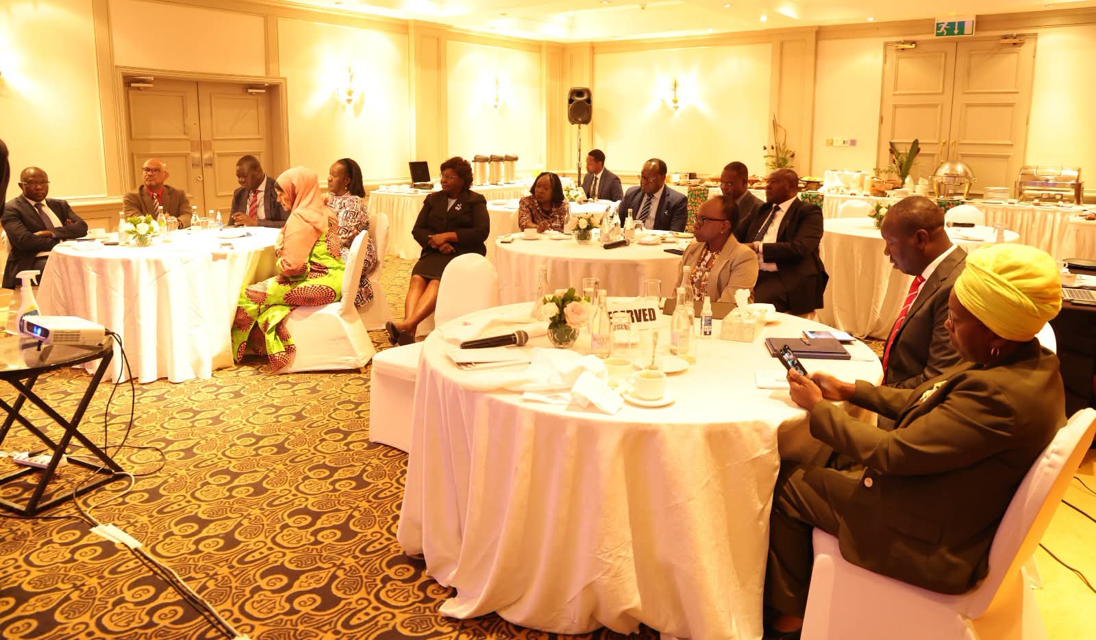 Safeguarding the Constitution, Strengthening Kenya’s Democracy